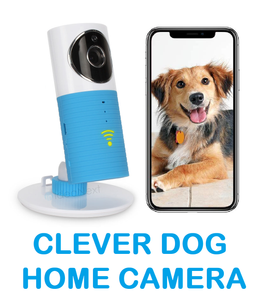 clever dog google home