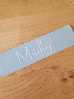 MOLLY pet name Sticker Vinyl Decals 10'' (2) PAIR WHITE - Dog Cat Pet Puppy FAST