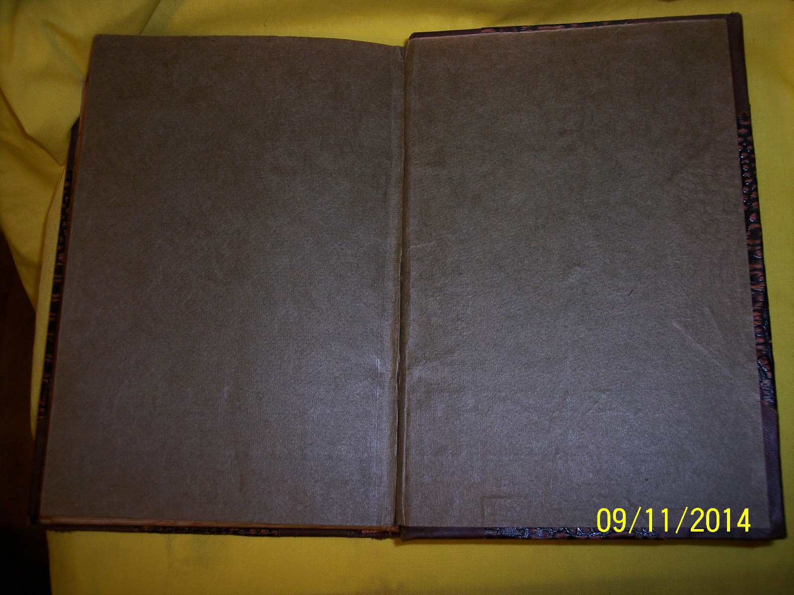 Picture 10 of 11
