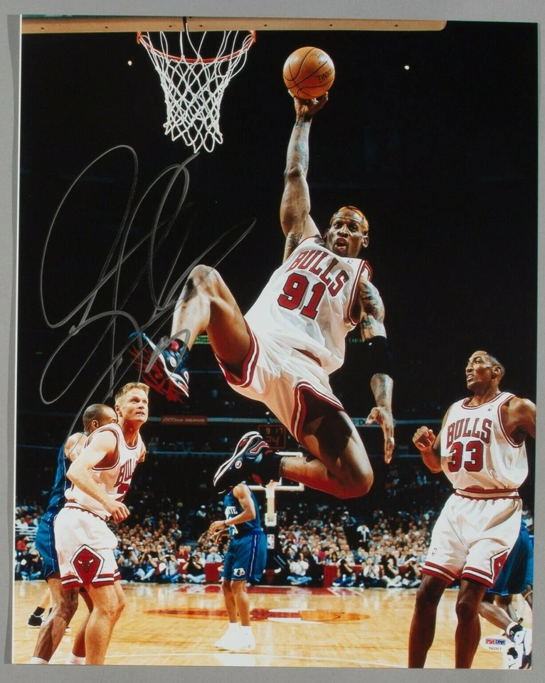 Dennis Rodman Signed Bulls Basketball 16x20 Photo PSA/DNA COA NBA Picture Auto'd - Image 2 of 4