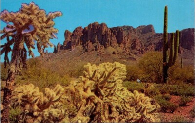 Superstition Mountain Saguaro Cactus VTG Postcard A9 *Curving on Bottom of Card*