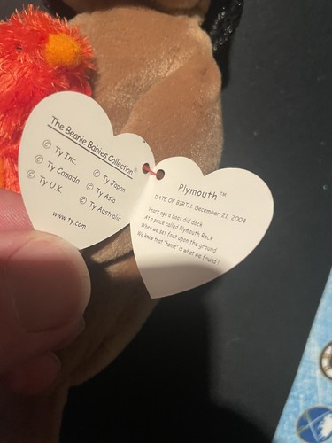 TY Original Beanie Babies - PLYMOUTH the Retired Bear (8") Vintage 2004 -2005 - Picture 2 of 3