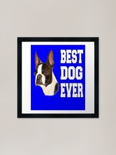 Best Dog Ever Boston Terrier Dog Pe Framed Wall Art Poster Canvas Print Picture