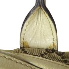Foto 17 di 20