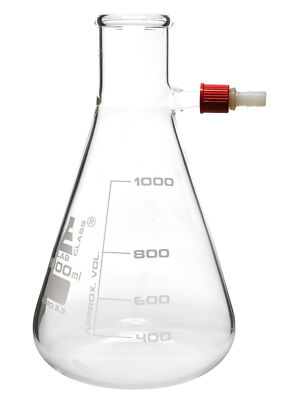 Eisco Labs 1000ml Filtering Conical Flask, Plastic Side Arm - Borosilicate Glass