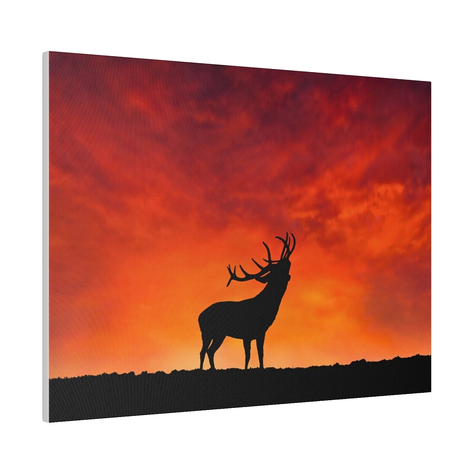 Wildlife Home Décor Posters & Prints