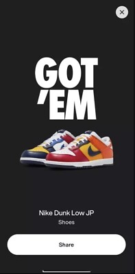 Size 13 - Nike Dunk Low Co.P  What The  Japan