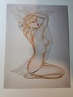 Foto 164 di 315