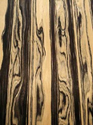 King Ebony Furnier SaRaiFo Royal white wild 250x30-32cm nachhaltiges Ebenholz