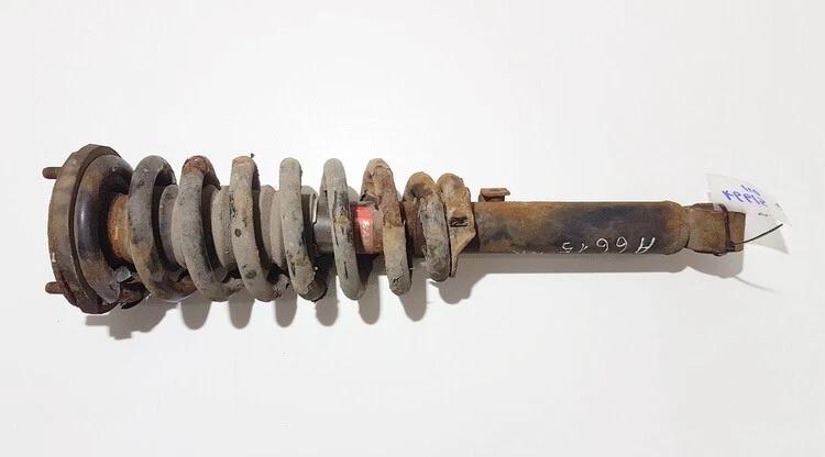 341365 Genuine Shock Absorber - Suspension Strut Assembly - front  