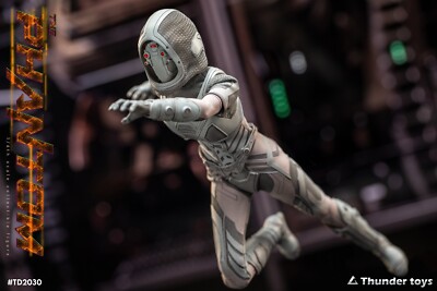 Thunder Toys Phantom Super Flexible Action Figure Model 1:6 Full