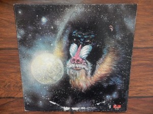 Mandrill Is | eBay
