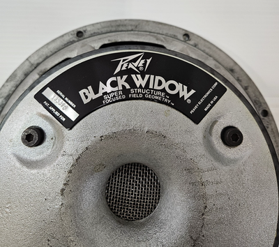 1980's Peavey Black Widow 12