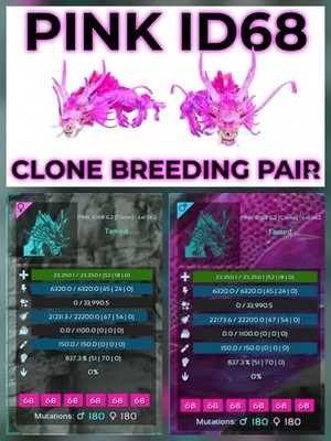 ARK ASA Aureliax Clone Breeding Pair - New Top Stats - Official PVE PC/XBX/PS5
