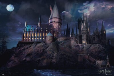 Poster HARRY POTTER - Hogwarts at Night - Quer ca60x90cm 59411ge