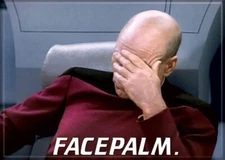 ATA-BOY MAGNET  2.5” X 3.5” STAR TREK NEXT GENERATION FACE PALM NEW