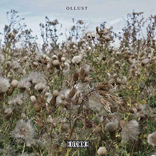 Broads and Milly Hirst Ollust LP Vinyl HUMM11LP NEW