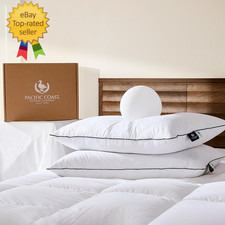 Premium Goose Feather  down Bed Pillows Standard Size 2-Pack, Hotel Quality