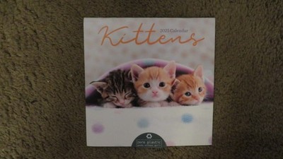 2025 TF Publishing Kittens Mini Wall Calendar 7'' x 7'' Good Cond.