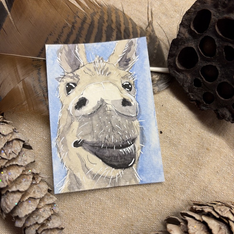 Watercolor Original AmberInWatercolor ACEO cute Whimsical Donkey Farm Animal Lip