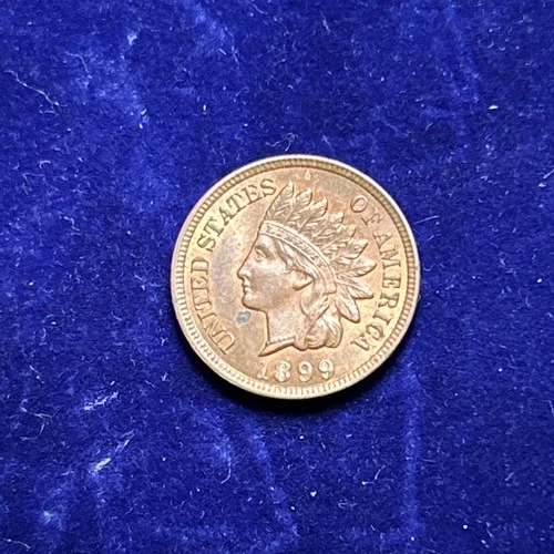 1899 Indian Head Cent Uncirculated UNC Coin ZM