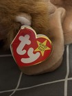 Bushy Retired 2000 Ty Beanie Baby And Rotary 1996 Both With Tags — photo 3