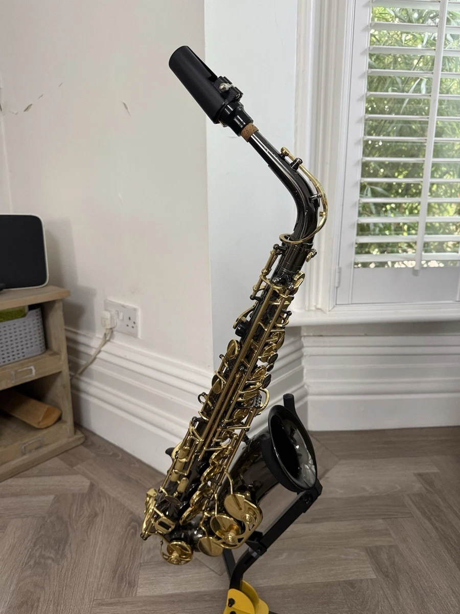 TREVOR J.JAMES サックス THE HORN Revolution Trevor James Alto Saxophone Lacquered Saxophones for sale | eBay UK