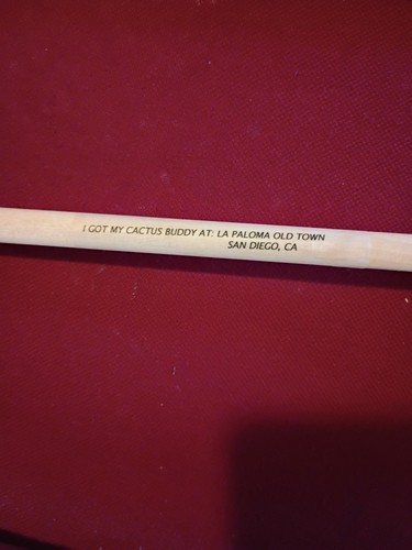 Cactus Buddy Back Scratcher from La Paloma Old Town San Diego -Two Cactus Buddys - Picture 4 of 5