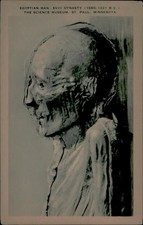 Artvue Postcard Egyptian XVIII Dynasty Science Museum St Paul Postmarked 1949