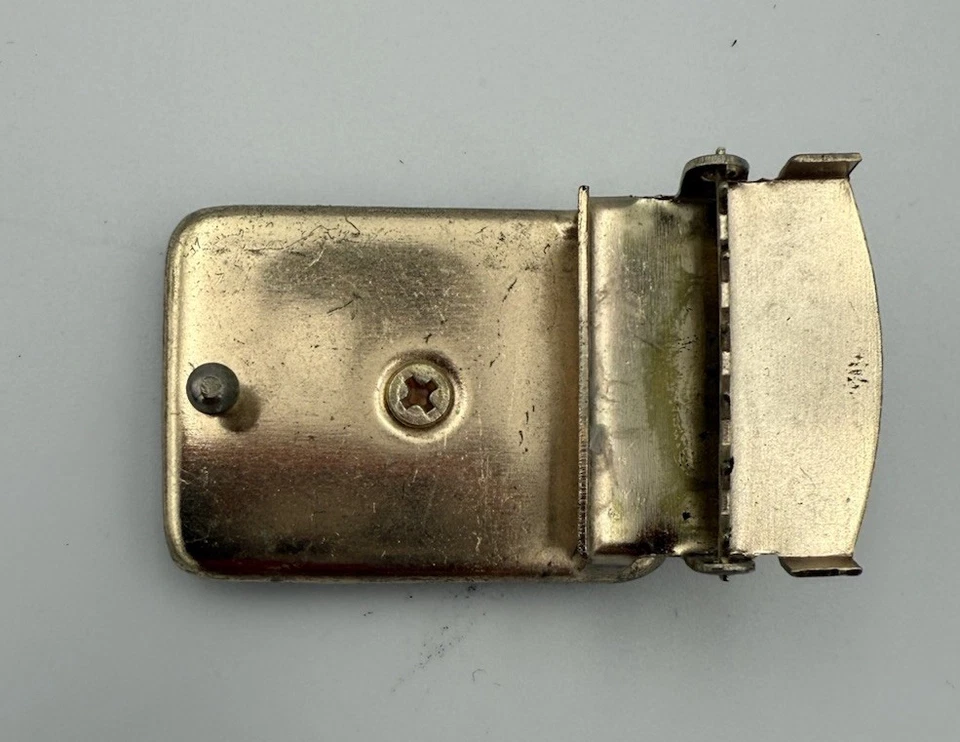 Cinturón marrón hebilla deslizable solo tono dorado Foto 2 de 2