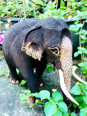 Hand-carved Asian Elephant made of Mahogany wood (6 inches)