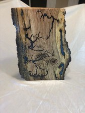 Fractal Wood Burning Wall Art