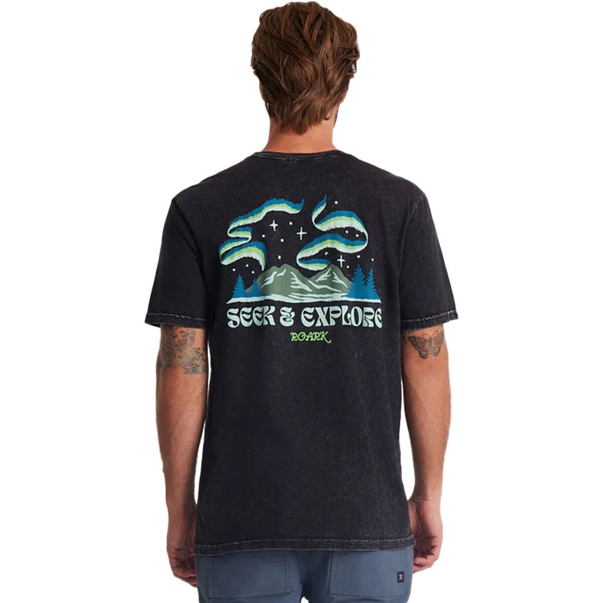 Футболка Roark Go North - мужская
