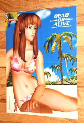 デッドオアアライブ エクストリームビーチバレー ポスター かすみ Dead or Alive Xtreme Beach Volleyball Kasumi / Stuntman Vintage