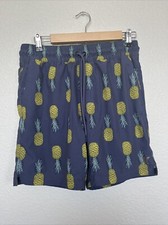 Hurley Men  s Small Volly Comfort Liner Stretch Swim Shorts Pineapple Print Trunk