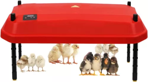 Chick Brooder Heating Plate 40*60CM Adjustable Chicken Coop Brooding Heater AU - Picture 1 of 12