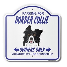 Border Collie 18" X 18" Heavy-Gauge Aluminum Architectural Sign