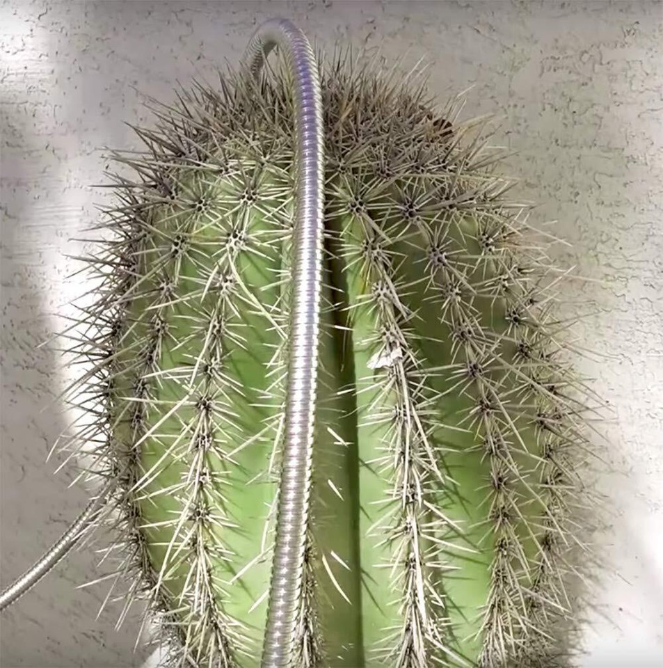 Beaulife Metal Short Garden Hose 1 Foot Connectors Drainage Hose for