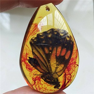 Beautiful Amber Butterfly Fossil Insects Manual Polishing ...