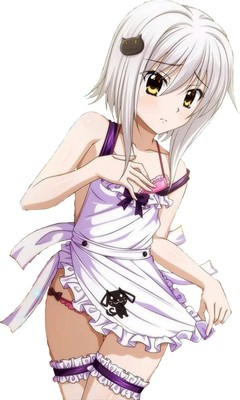 Koneko Toujou Kuroka High School DxD 6'' Weatherproof Lewd Car Decal Sticker v5