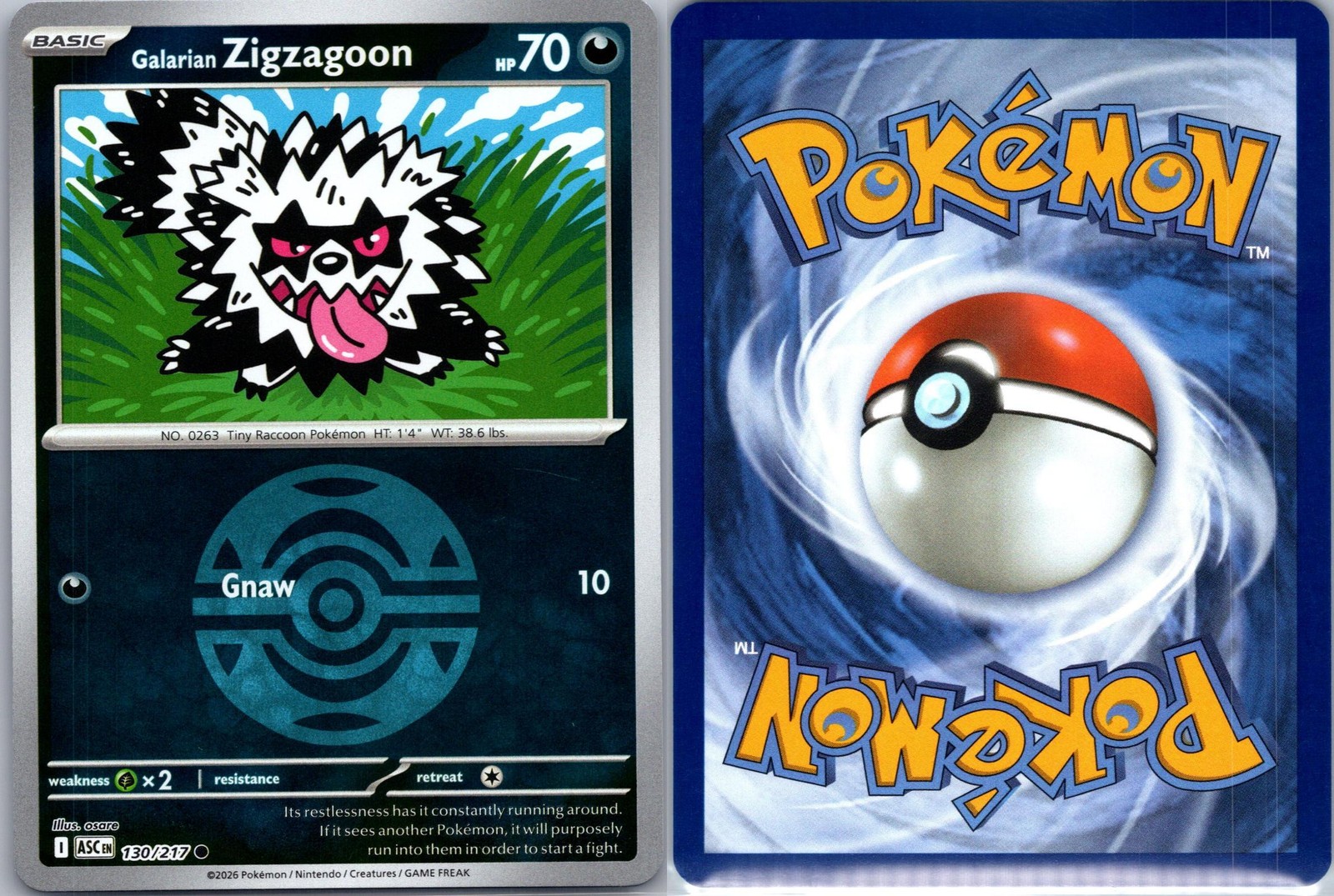 Galarian Zigzagoon (Dusk Ball) 130/217 Ascended Heroes Pokemon Reverse Holo NM