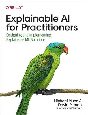 David Pitman Michael Munn Explainable AI for Practitioners (Paperback)
