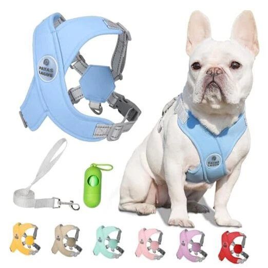 Dog Harness with Leash Set M (Neck 19.3-23.3'' Chest 22.5-25.6'') Blue