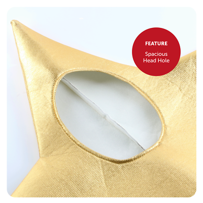CHILD ADULT GOLD STAR COSTUME NATIVITY CHRISTMAS XMAS FANCY DRESS SCHOOL  TABARD | eBay