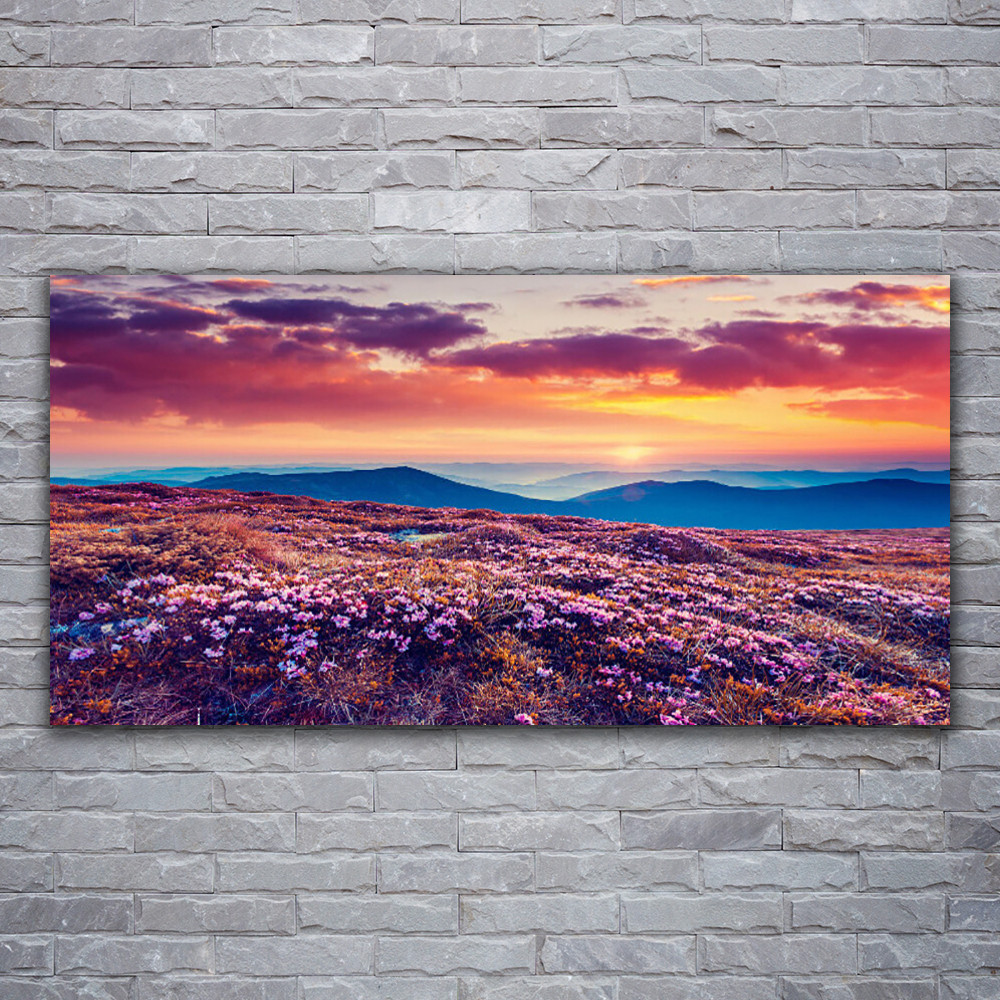 Tableau en verre trempé Tulup panorama de montagne haute définition
