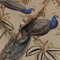 Taupe Mehrfarbige Tapetenrolle Pfau WäLder VöGel BläTter Blumen Holden 13680