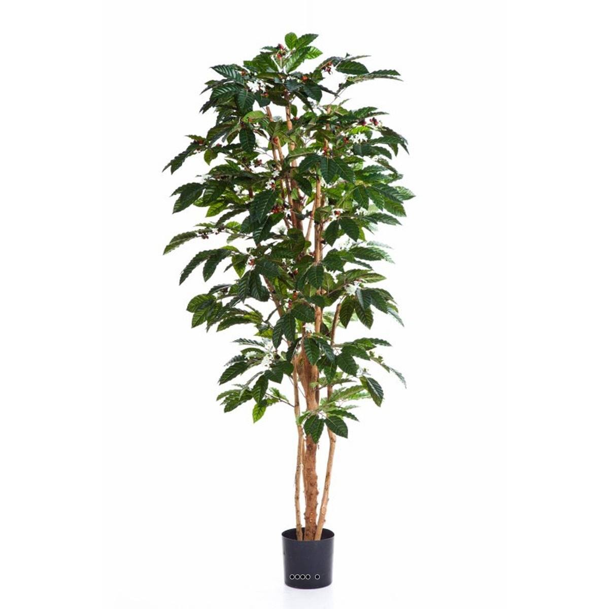 Caféier artificiel en pot avec fleurs artificielles et feuillage dense 150 cm
