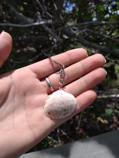 Shell Seashell Charm Keychain, Detachable Keyring Metal Chain Silver/Tan/Brown