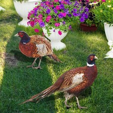 Acrylic Garden Pheasant Yard Sign Add More Natural Beauty To Your Garden