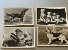 1939 Senior Service Cigarette Cards - DOGS